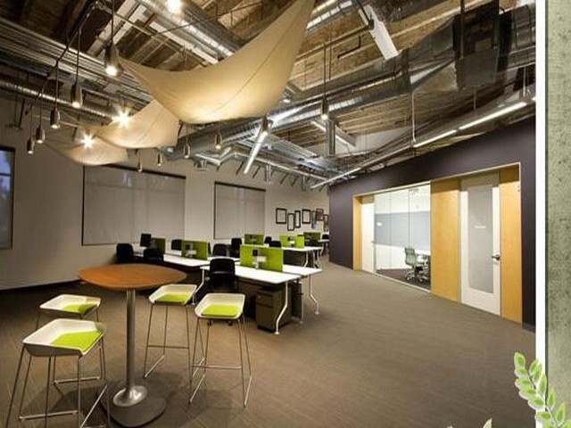 台州虾稻米生产厂家