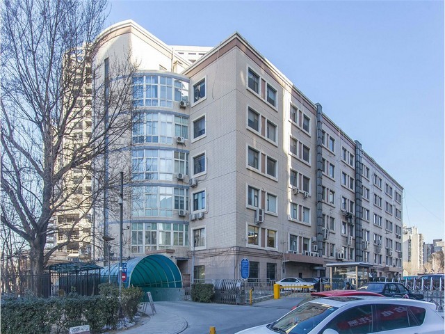 惠安银行绿植租摆